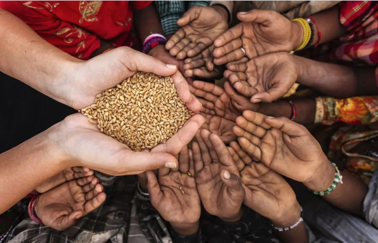 Cada 4 segundos fallece un ser humano por falta de alimentos en el ...